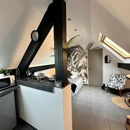 Studio Chaleureux Hypercentre Amiens Zewnętrze zdjęcie